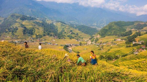 10 Migliori cose da fare e da vedere a Ha Giang - Guida completa