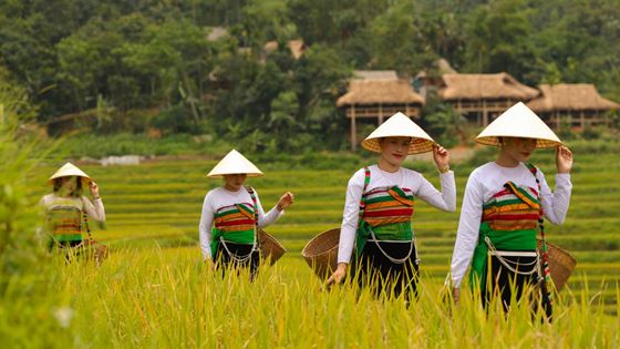 Pu Luong cosa vedere ? Le 10 migliori cose da fare a Pu Luong