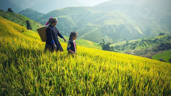 Itinerario Vietnam 12 giorni - Guida completa e consigli di viaggio