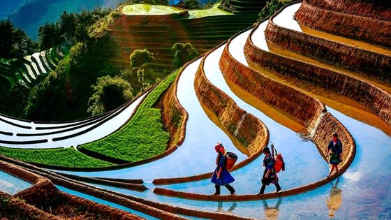 2 settimane nel Vietnam del Nord della famiglia di Fabrice