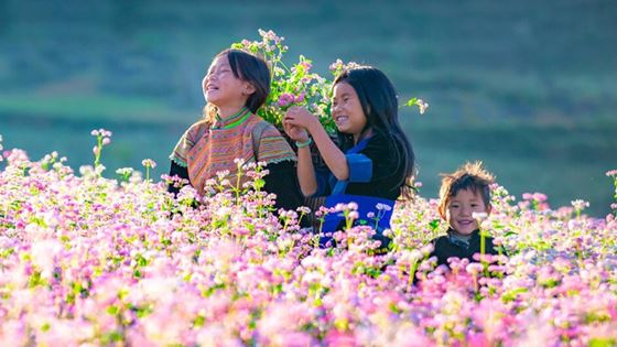 Viaggio Vietnam in 3 settimane indimenticabile della famiglia Corradi 