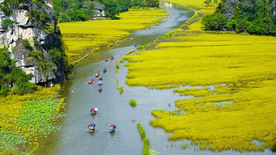 Un viaggio di 7 giorni in Vietnam della coppia Enzo