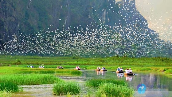 Itinerario Vietnam 15 giorni ad agosto e a ferragosto