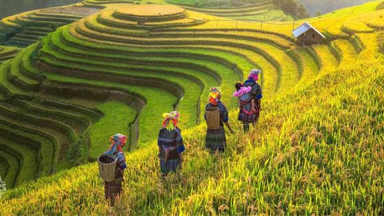Il clima del Vietnam per mese e regione - Quando visitare il Vietnam?