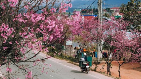 Quando andare a Da Lat? Il periodo migliore per visitare Da Lat