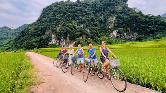 Quando andare in Vietnam ? Periodo migliore per visitare il Vietnam