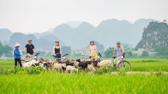 2 giorni a Tam Coc - Cosa fare a Tam Coc Ninh Binh in 2 giorni ? 
