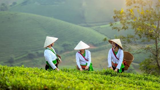 Itinerario Vietnam 15 giorni ad aprile e a Pasqua