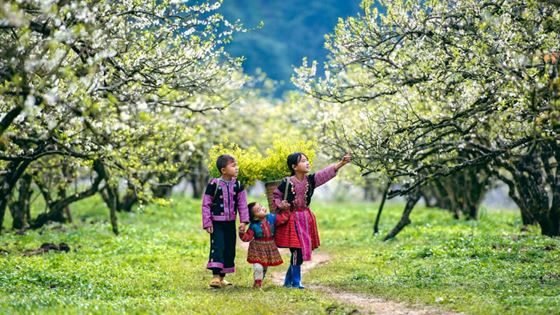Vietnam a gennaio - Dove andare e cosa vedere?