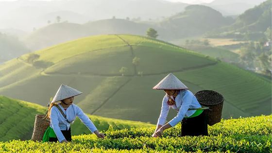 Vietnam ad aprile - Guida completa per organizzare il tuo viaggio