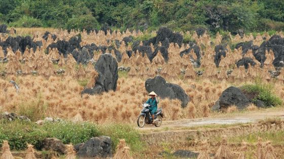 Cosa vedere a Cao Bang - 10 Migliori cose da vedere a Cao Bang