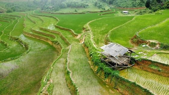 Guida di viaggio Ha Giang - Cosa vedere e fare a Ha Giang