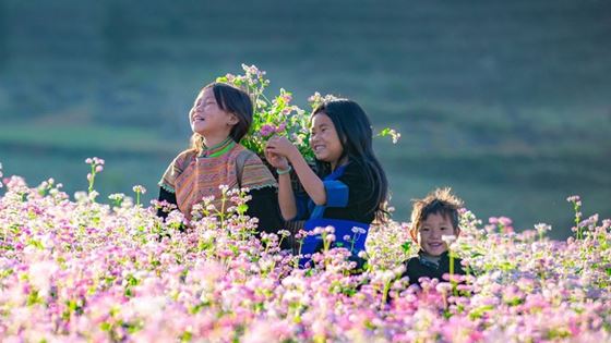 Quando andare in Ha Giang ? Periodo migliore per visitare Ha Giang 