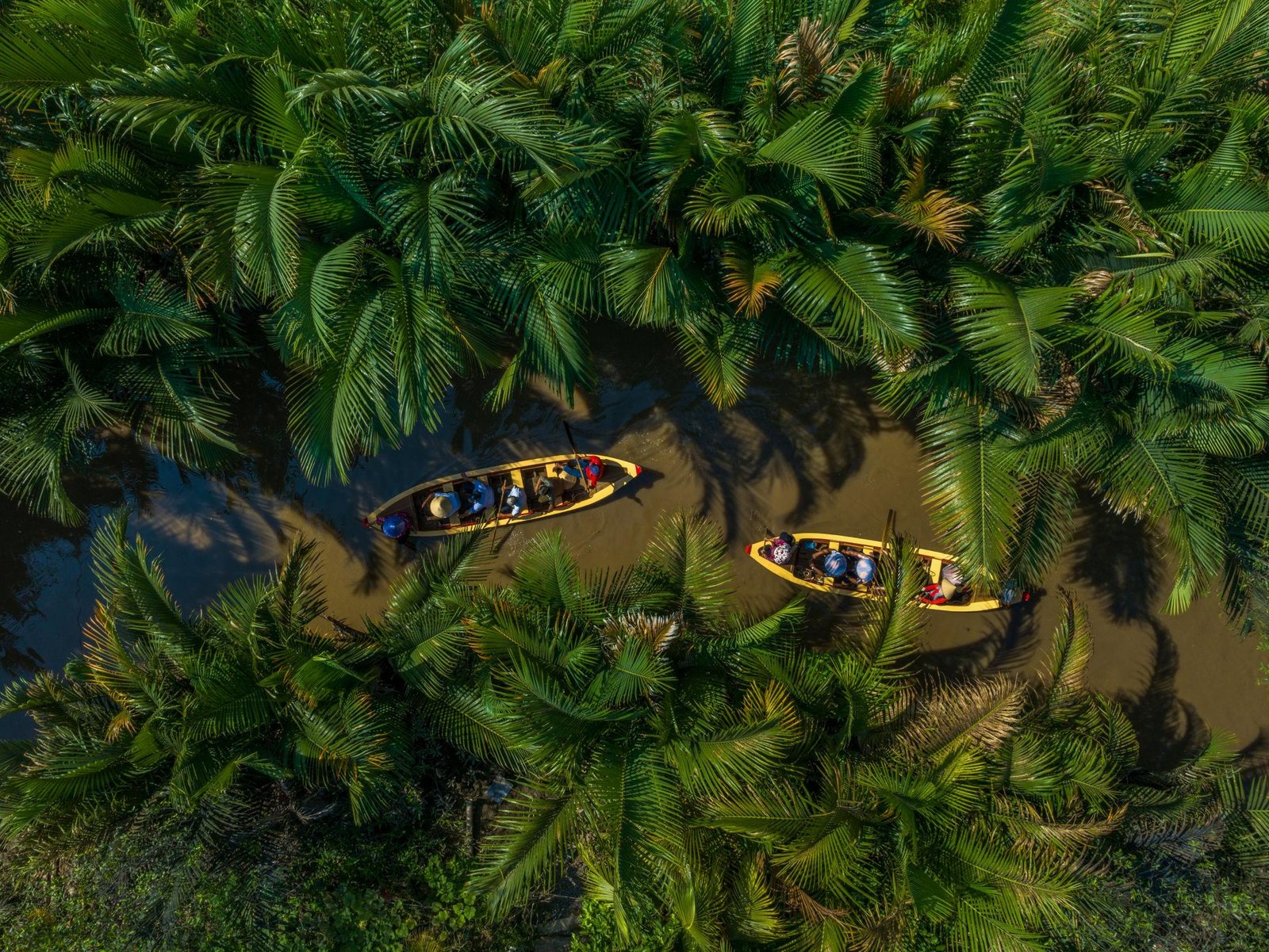 Tour Bến Tre trên sông Mekong | Tour 1 ngày trải nghiệm thực tế