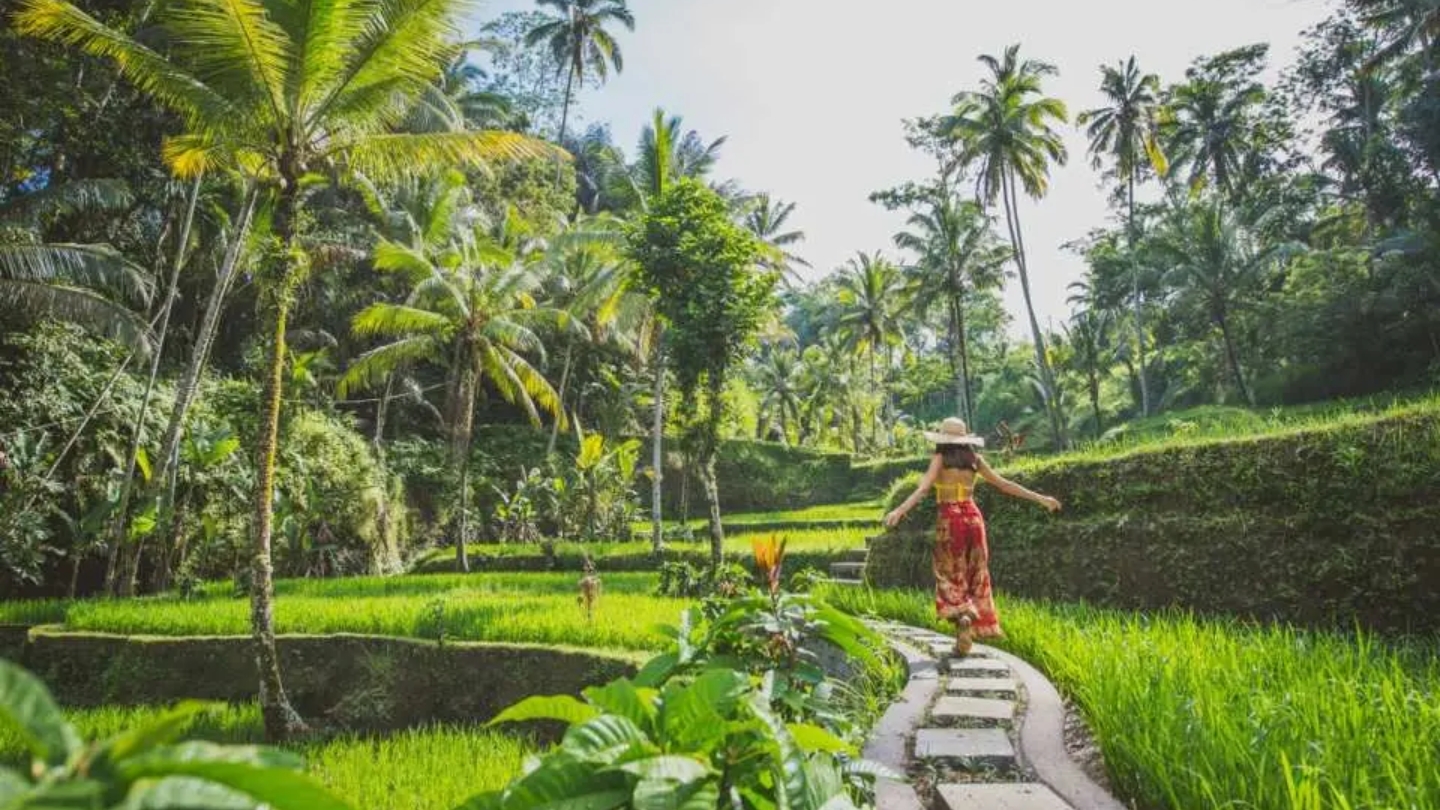 Ubud - dove andare a Bali a gennaio? 