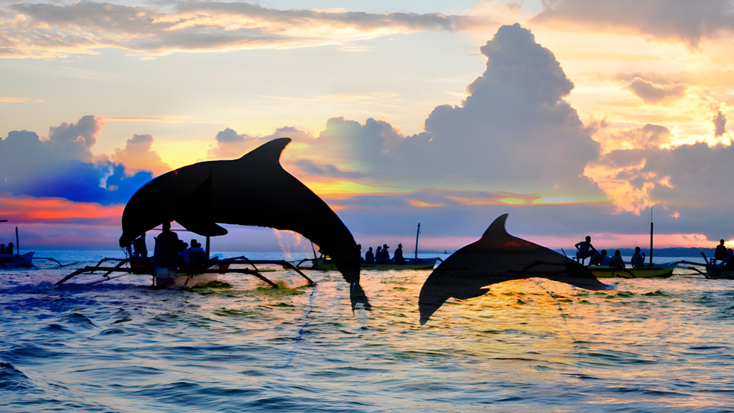 Tour all'alba per osservare i delfini a Bali a Lovina Beach