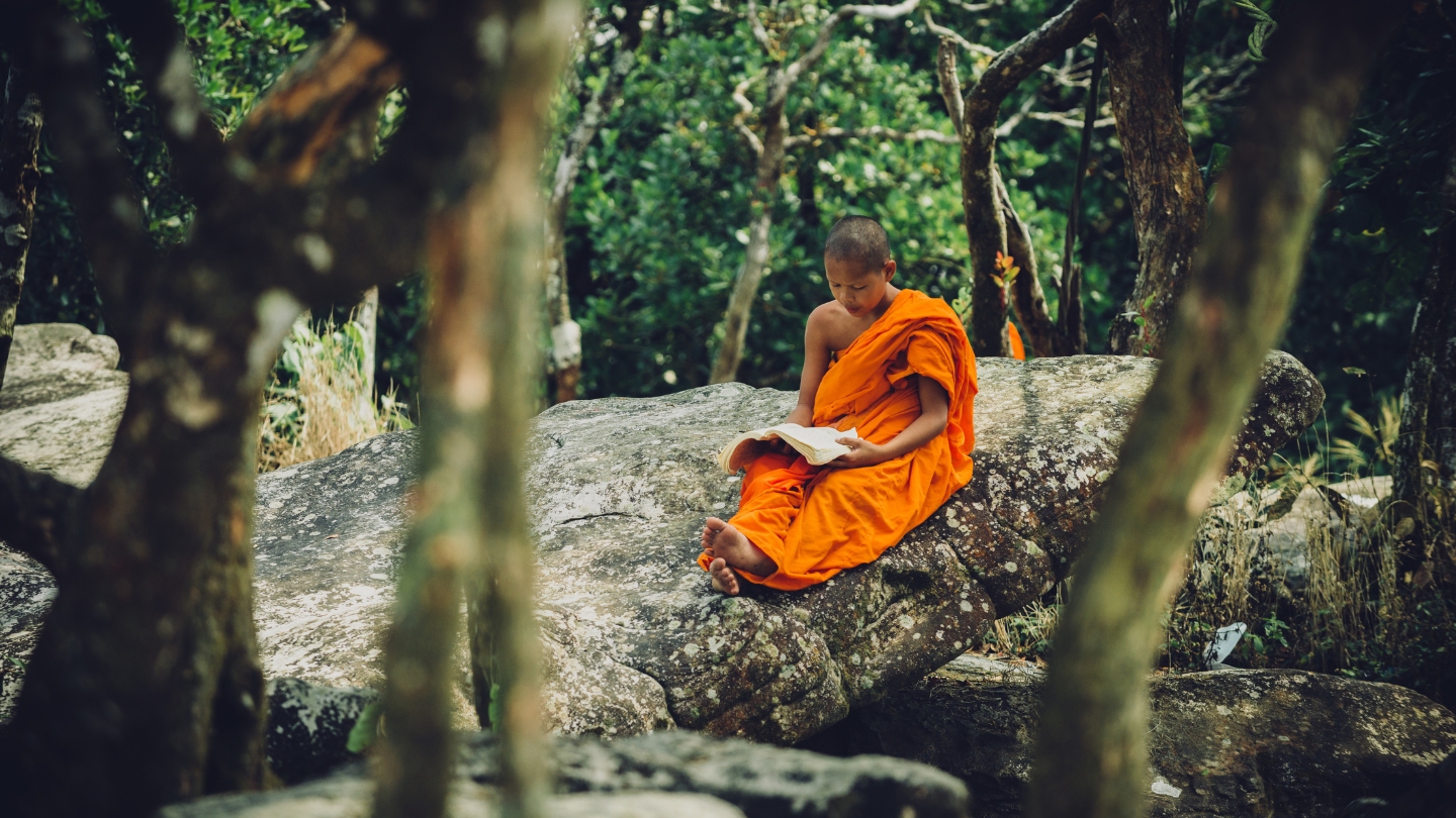 La bellezza di cultura in Cambogia