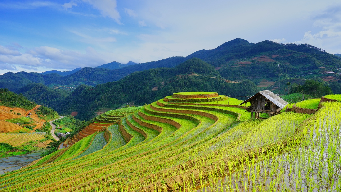 Quando andare in Cambogia?