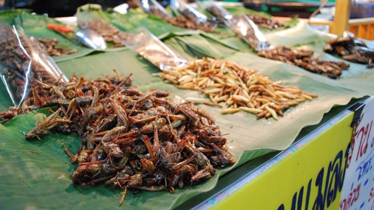 Piatti a base di insetti in Laos