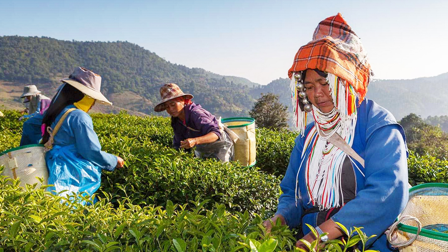 Chiang Rai – Un viaggio nel cuore della cultura thailandese