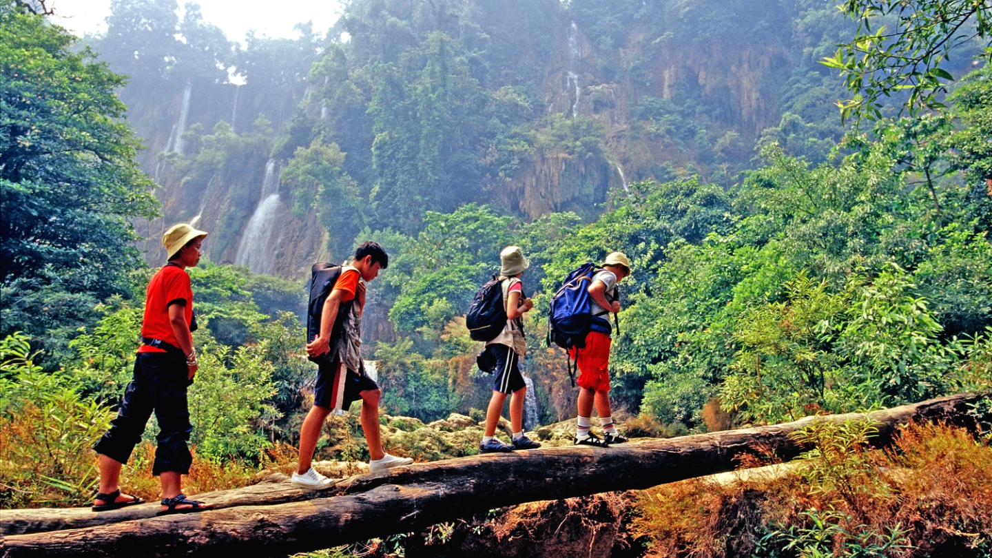 Scopri parco nazionale di Khao Yai 