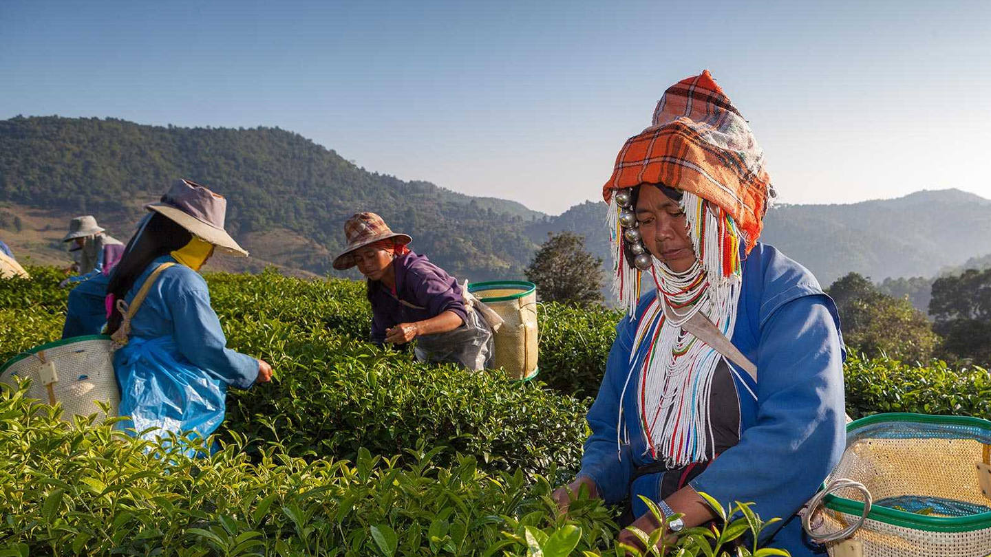 Itinerario in Thailandia a maggio