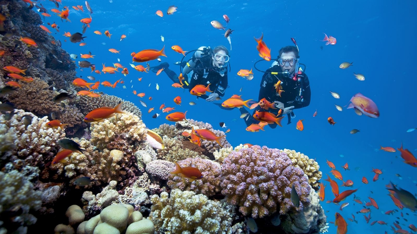 L'esperienza di snorkeling sulle spiagge di Koh Samui  