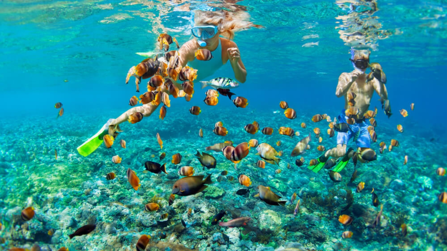 Una delle attivita’ imperdibili su questa spiaggia 