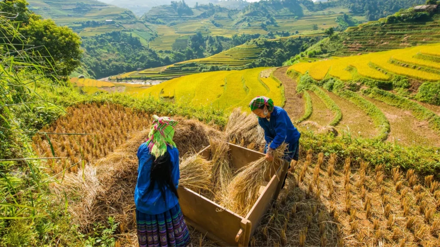 Bellezza infinita di Hoang Su Phi