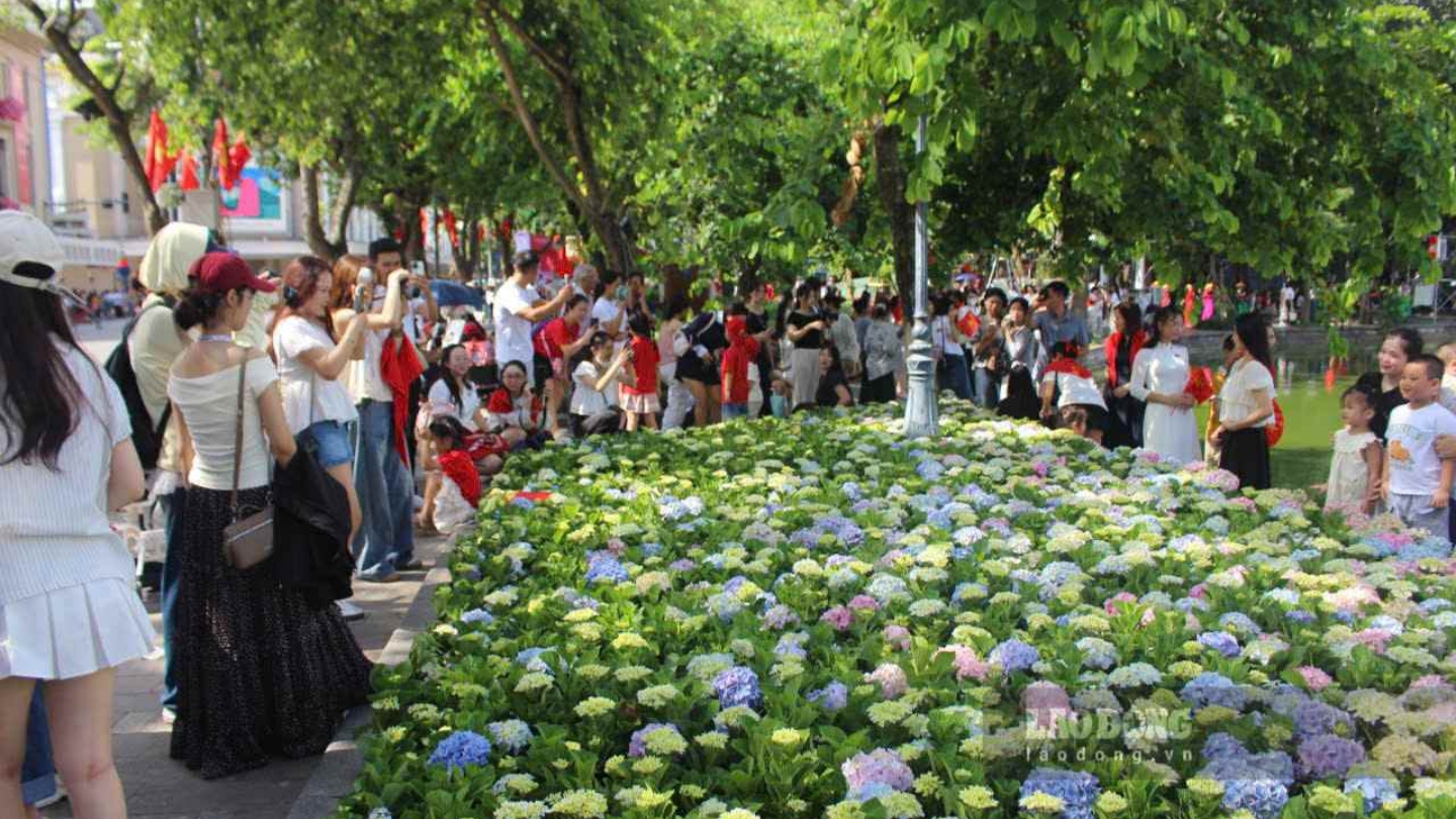 Le Immagini dei fiori affascinano nostri bambini 