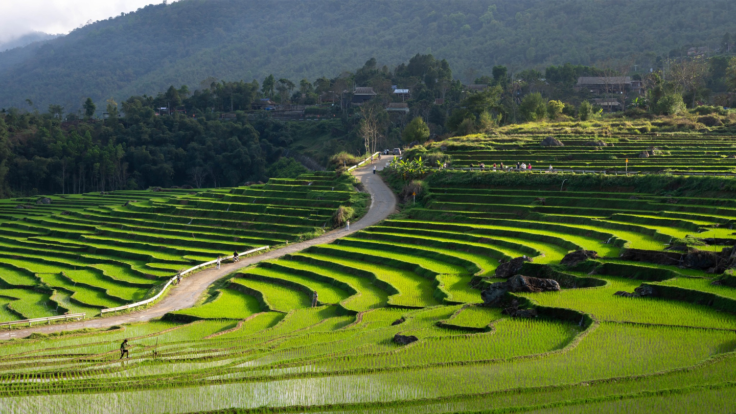 Scopri Pu Luong Nature Reserve