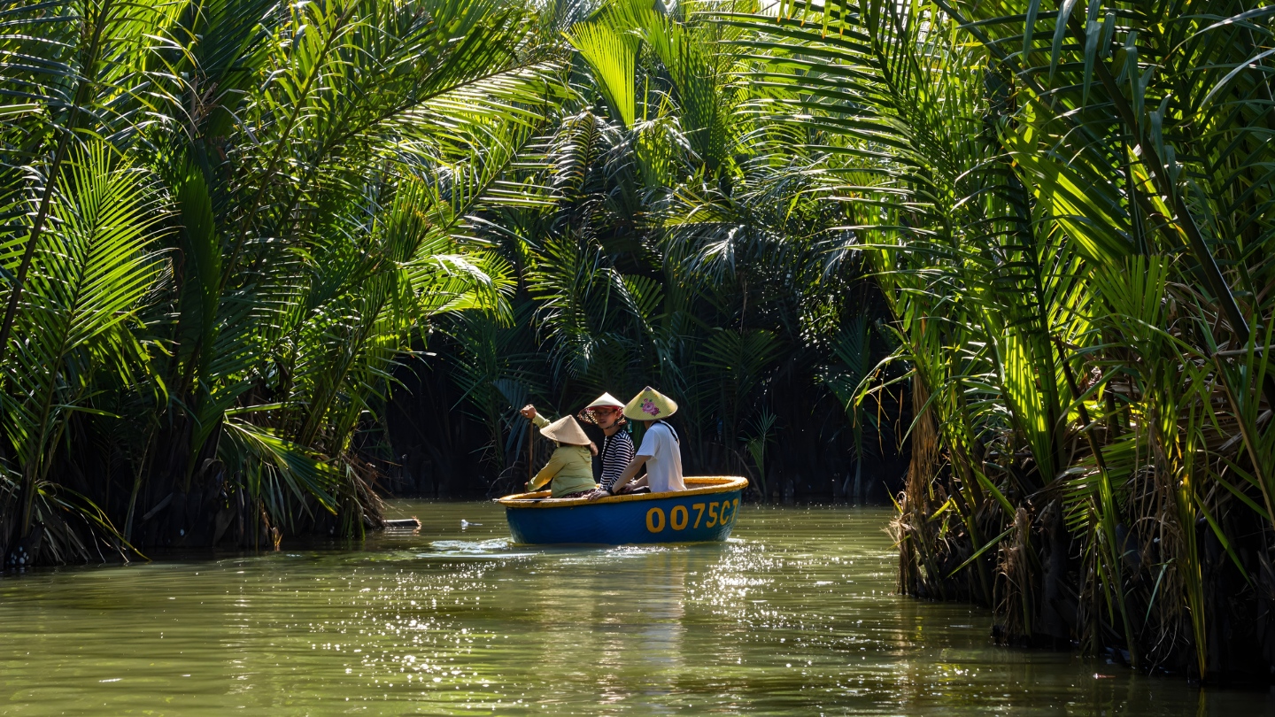 Foresta di cocco Bay Mau