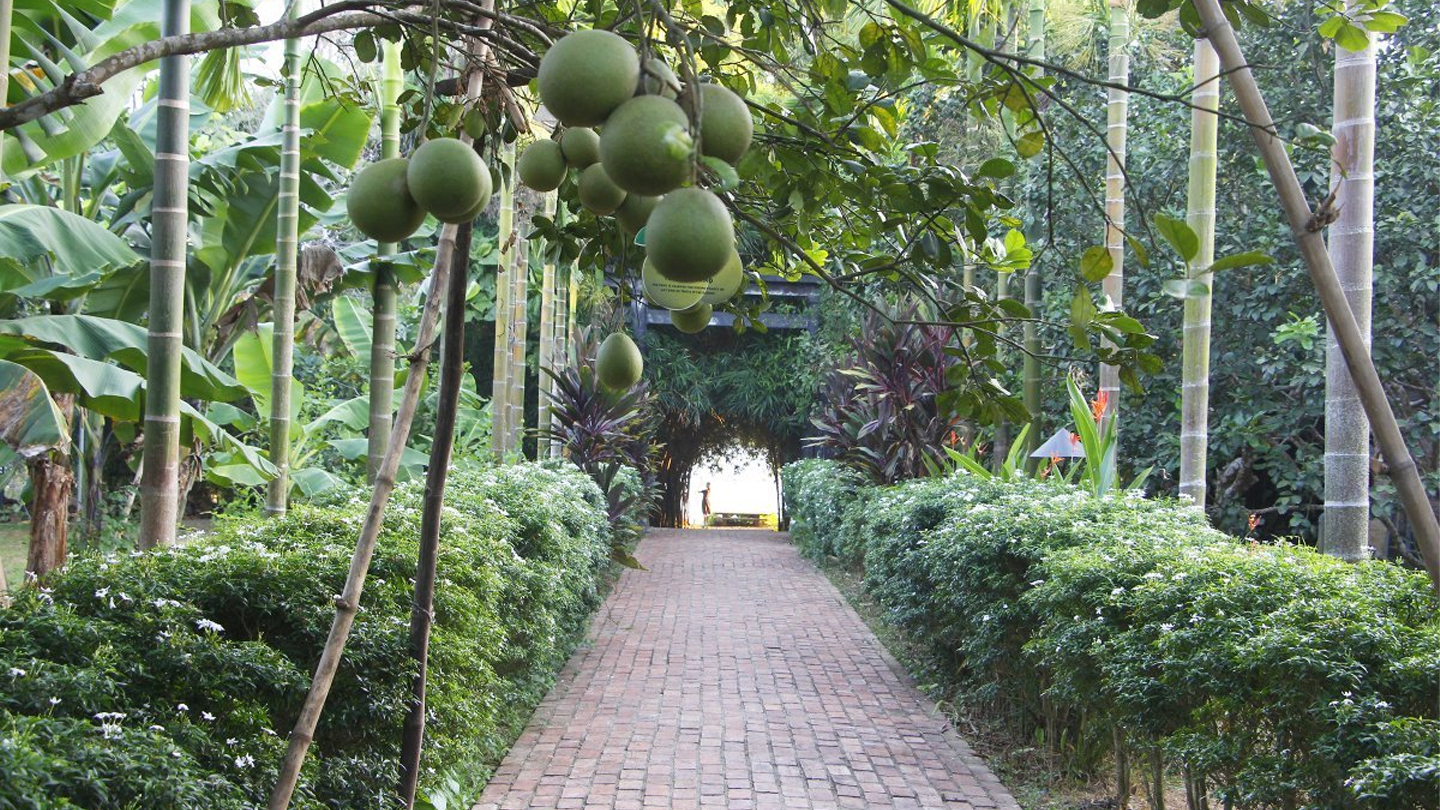 Villaggio di Thủy Biều