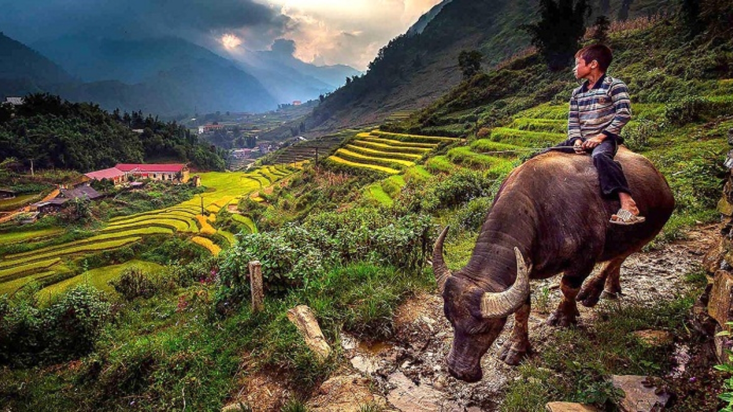 Concludi il tuo viaggio di 5 giorni a Sapa con la tua famiglia
