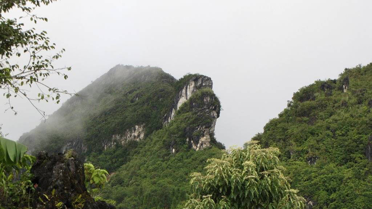 Monte Ham Rong Sapa
