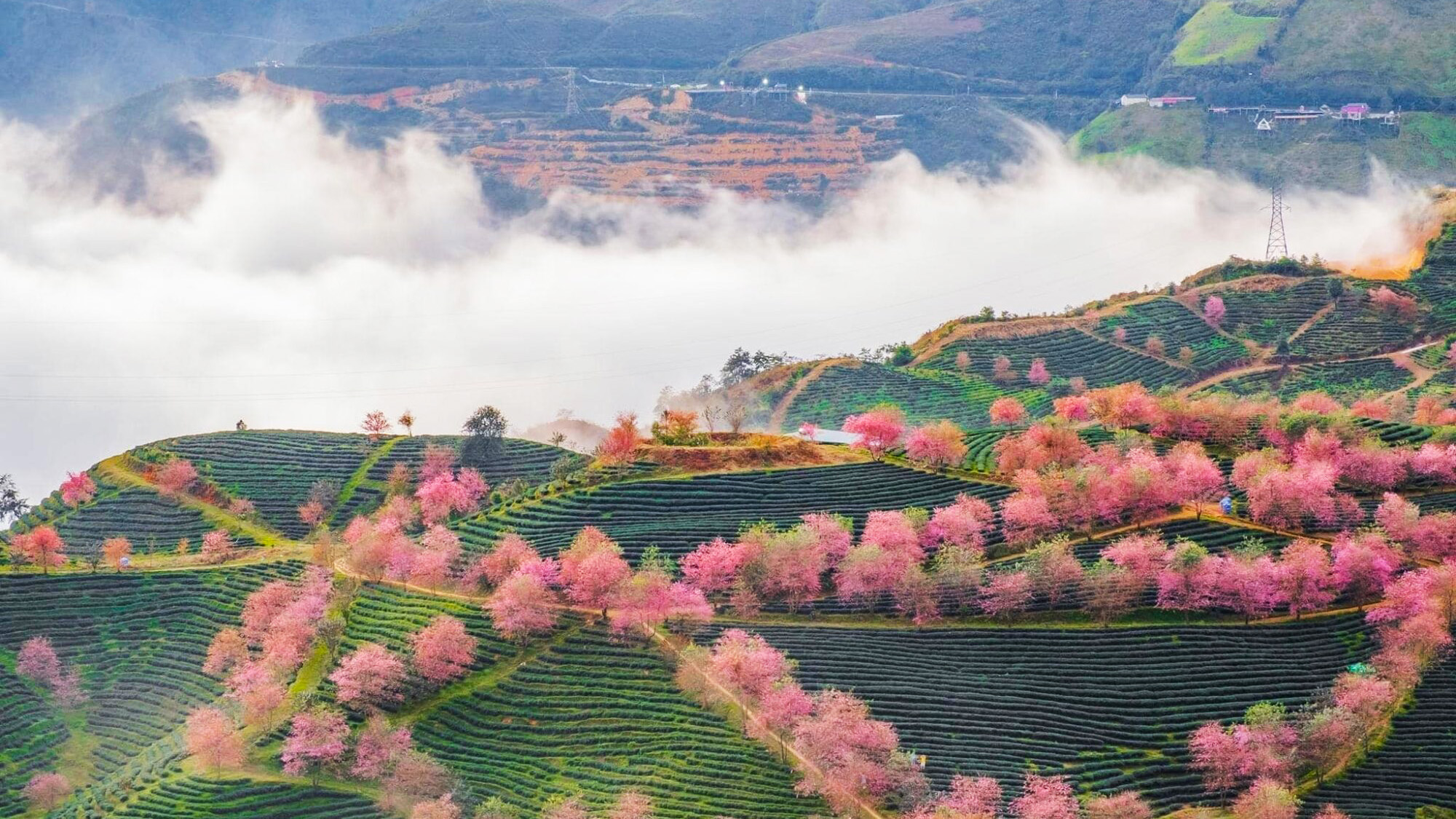 Periodo migliore per visitare Sapa