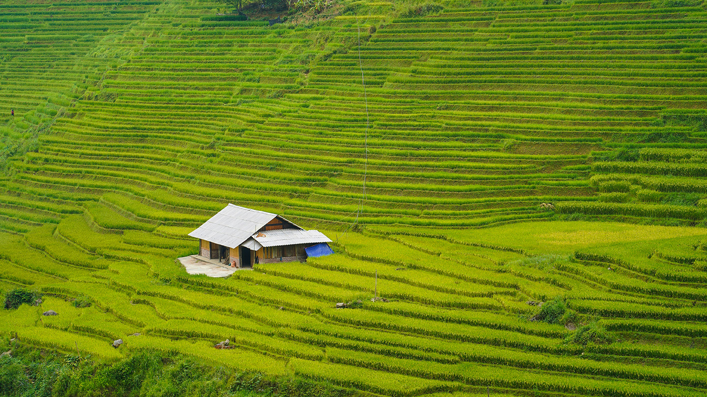 Sapa homestay