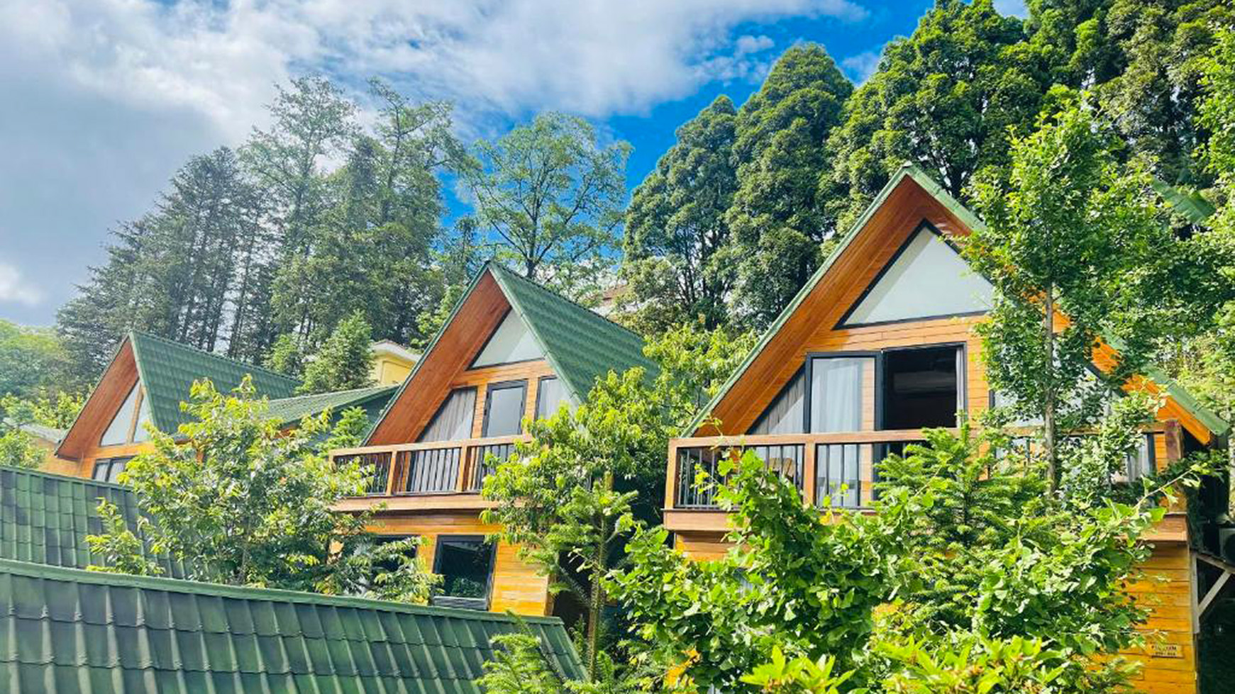 Sapa Pine Hill Eco Lodged, uno dei migliori Sapa Homestay