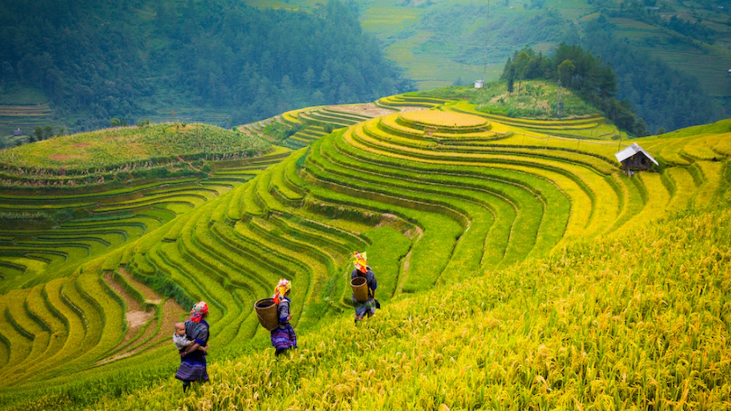 Scopri la pittoresca regione montuosa del Vietnam settentrionale.
