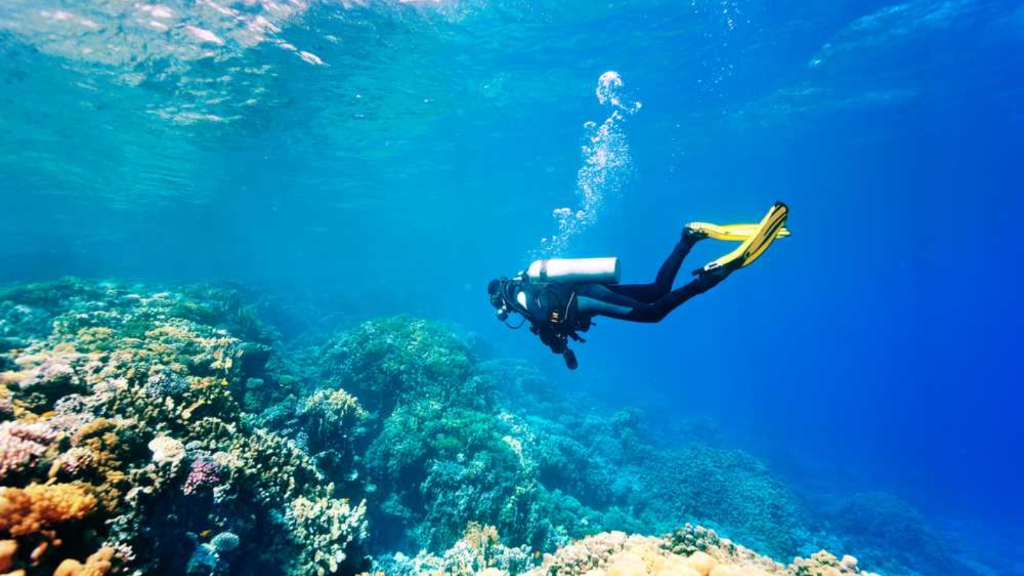 Ammirare la vita marina nella Baia di Halong facendo snorkeling