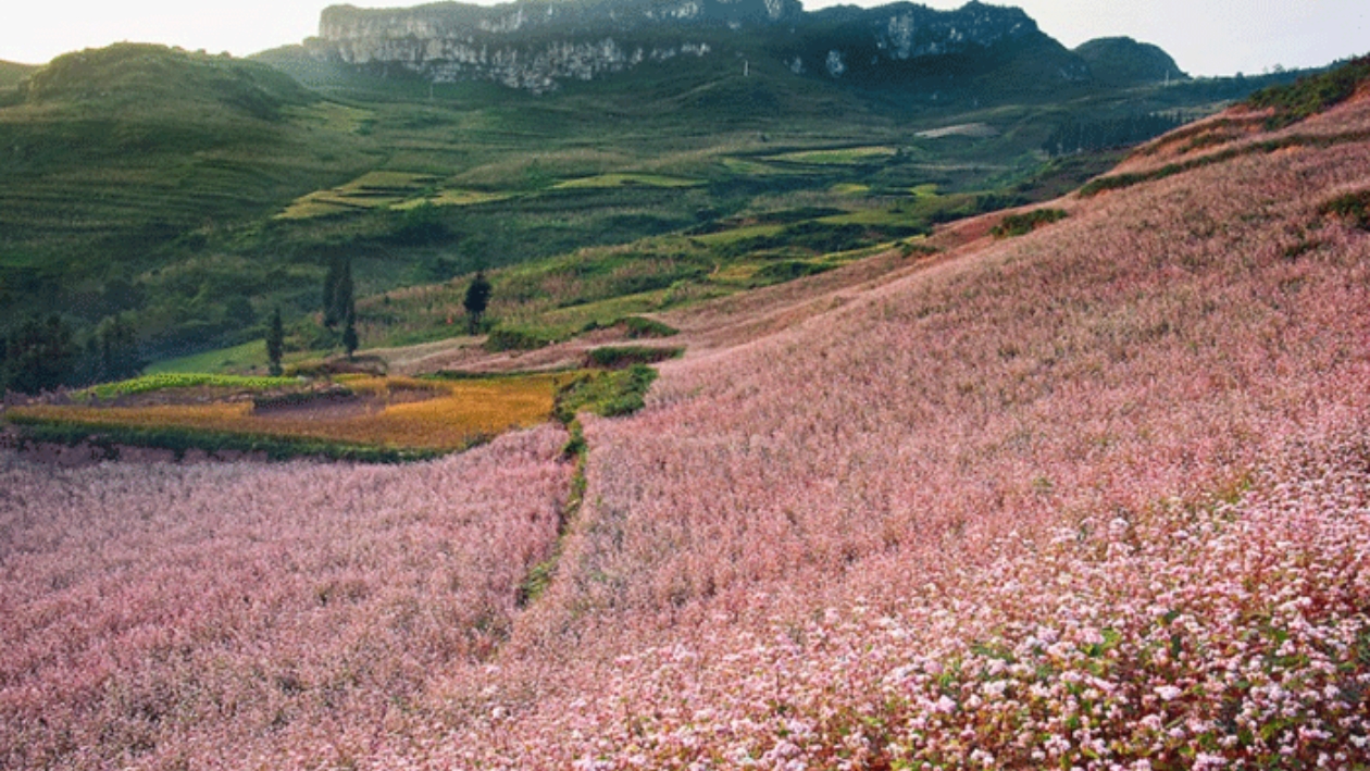 Valle di Sung La