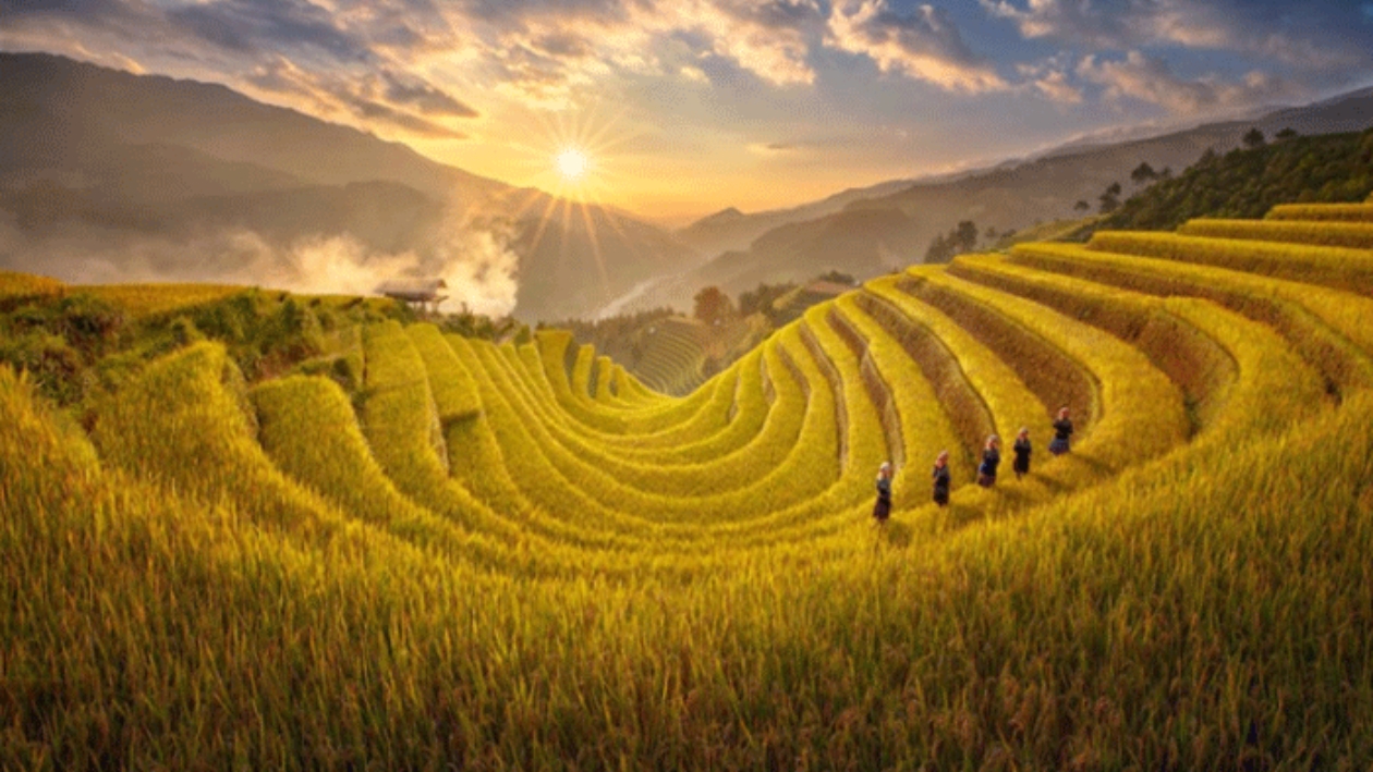 Hoang Su Phi