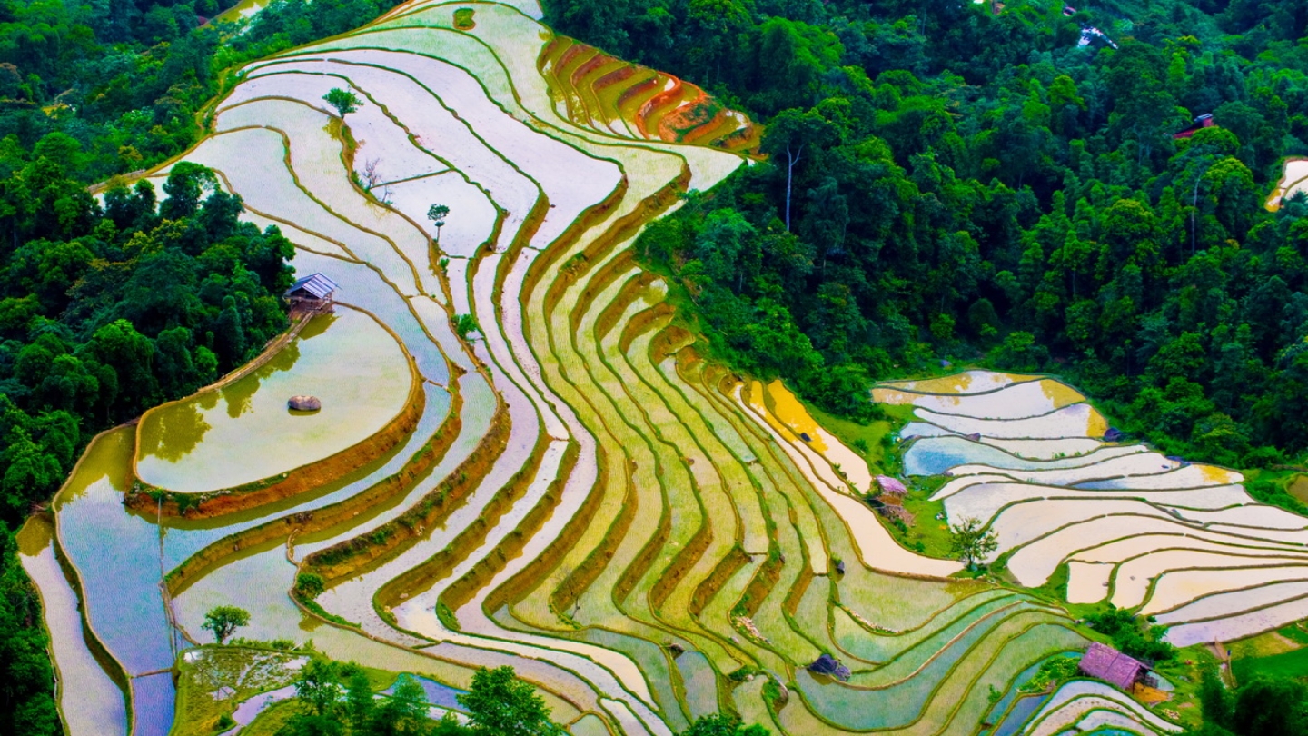Il periodo migliore per visitare Ha Giang