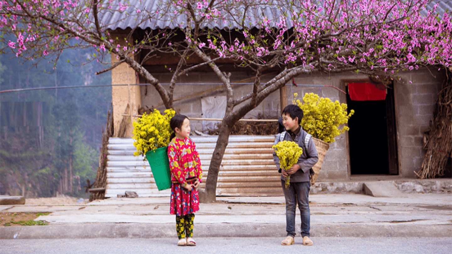  Periodo migliore per visitare a Ha Giang 