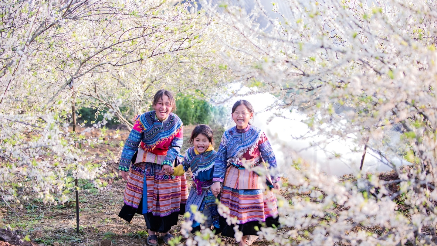 Il paesaggio di Bac Ha in primavera