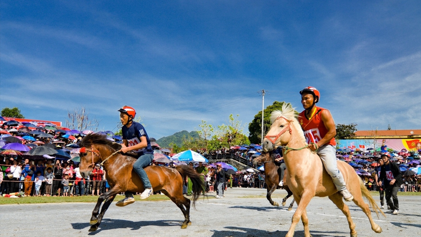 Il tradizionale festival delle corse dei cavalli a Bac Ha