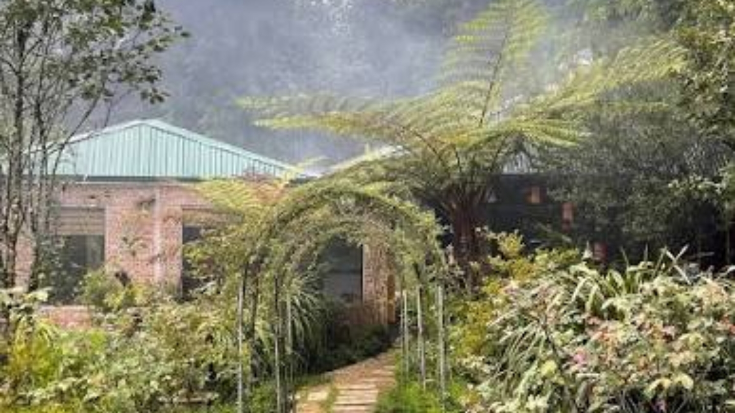 I paesaggi alberati intorno all’homestay 