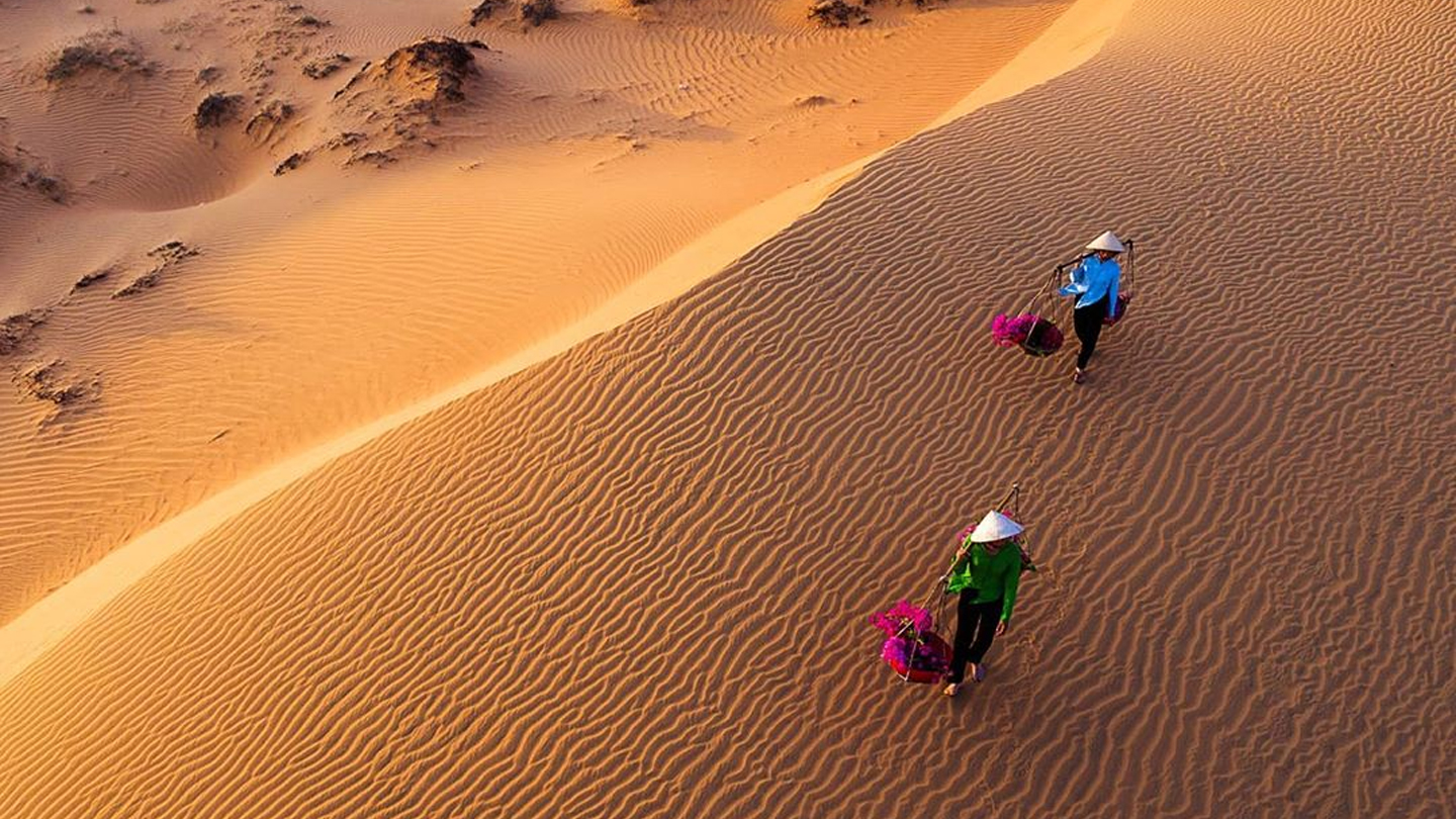 The Red Sand Dunes