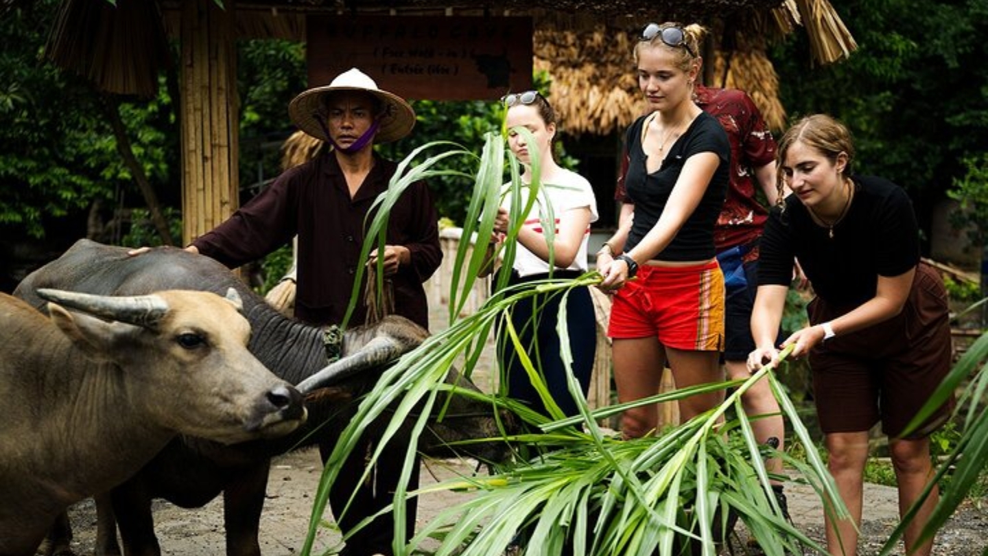 Cosa vedere a Tam Coc Ninh Binh in 2 giorni ? 