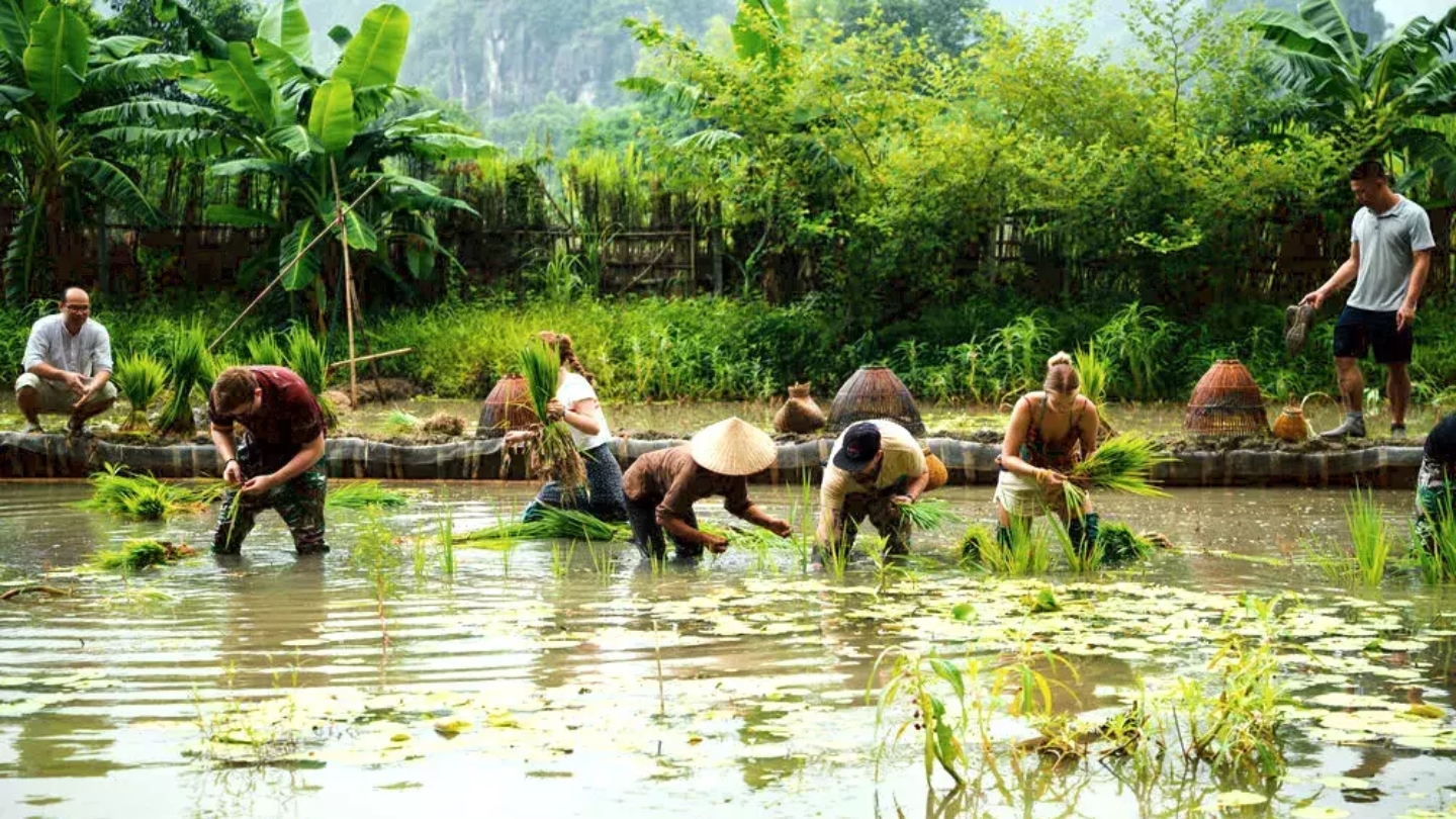 Esperienza rurale e giro in bufalo a Tam Coc